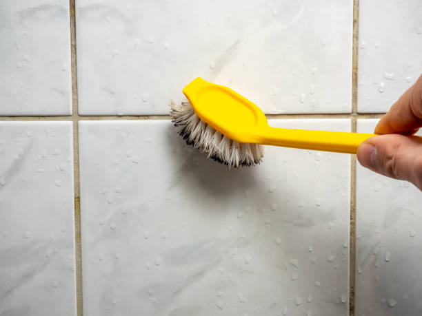 Best Water Damage Restoration  in Valley Forge, TN